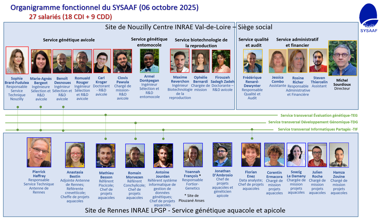 2025-10-06-organigramme.png