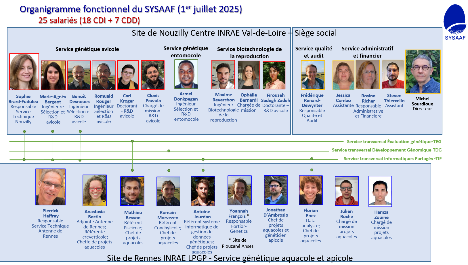 2025-07-01-sysaaf-organigramme.png