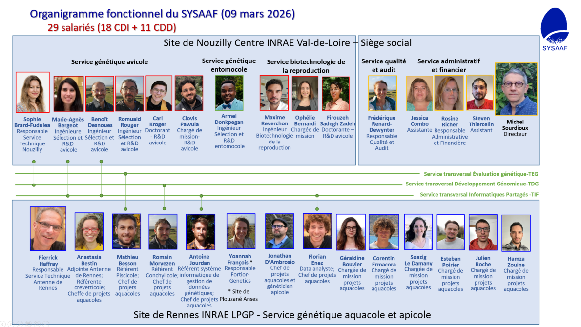 2026-03-09-organigramme.png
