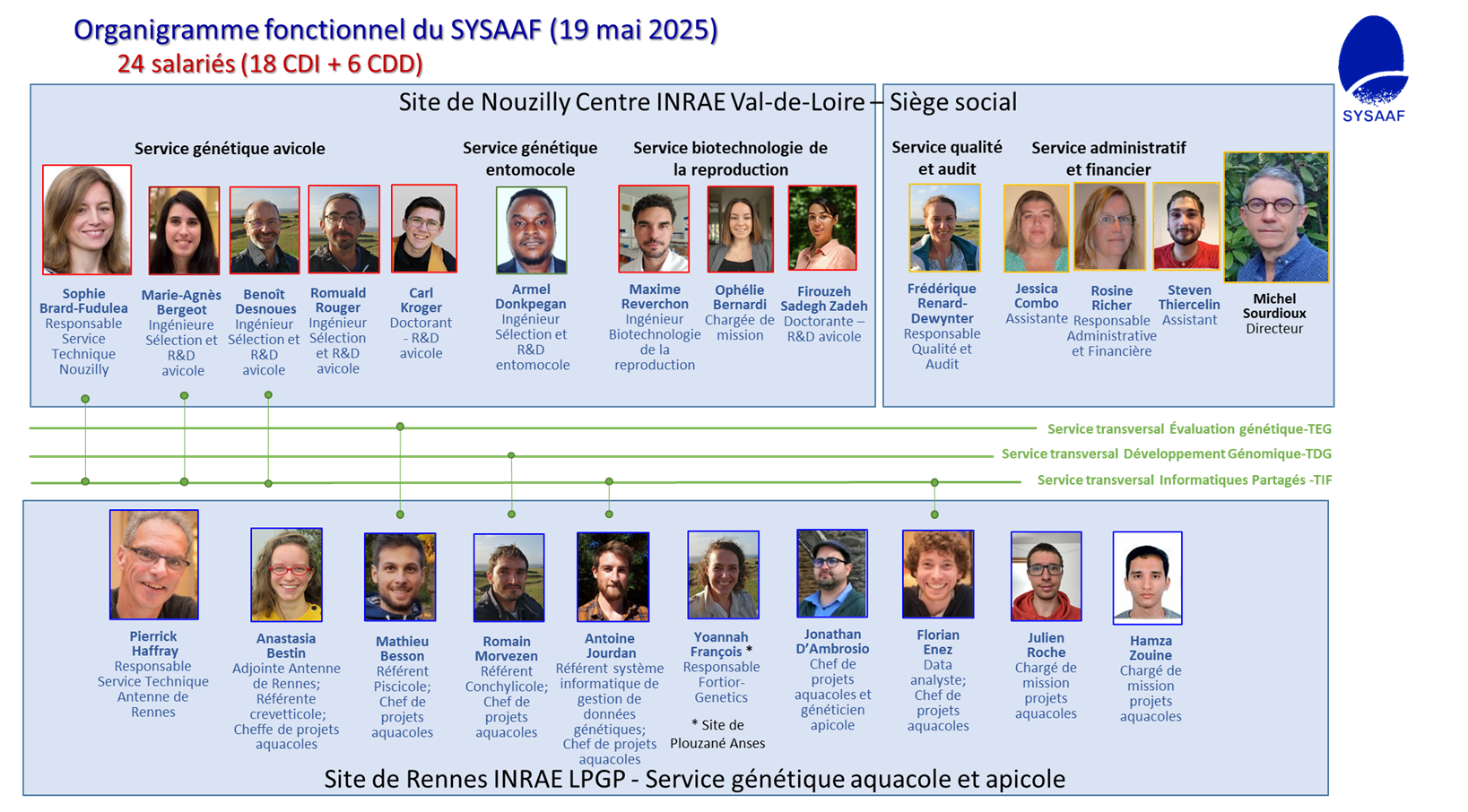 2025-05-19-organigramme sysaaf.png
