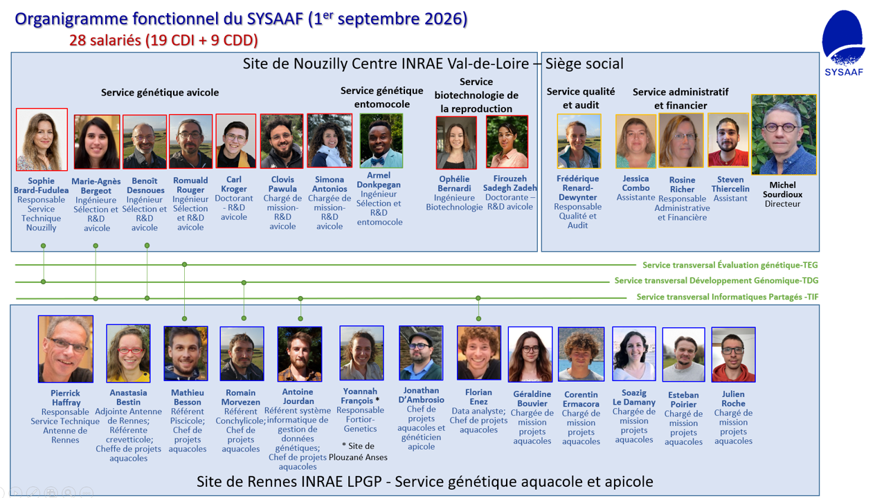 2026-01-09-organigrammeSYSAAF.png 2026-01-09-organigrammeSYSAAF.png