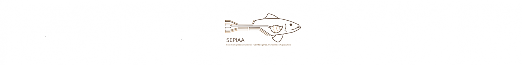 bandeau-sepiaa.png