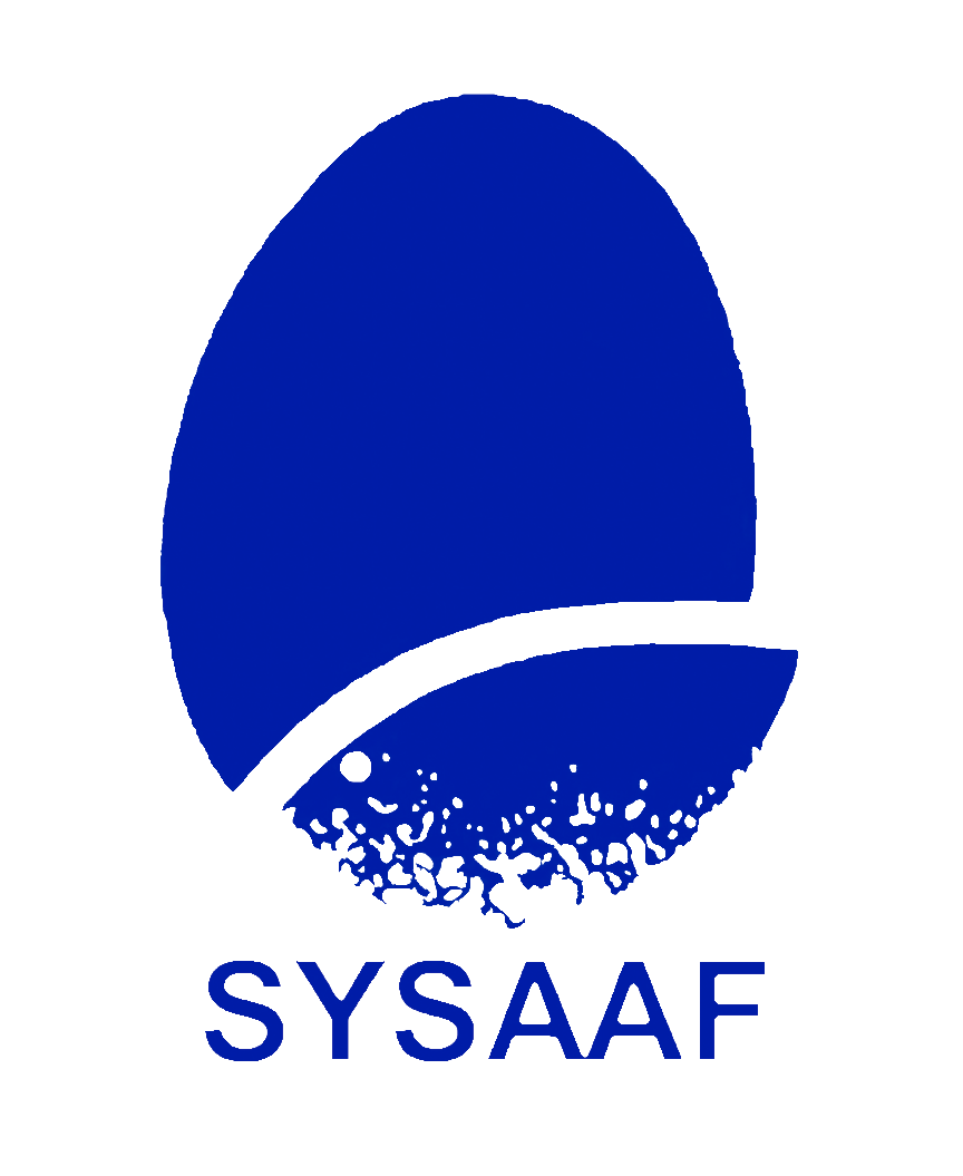 Logo sysaaf fond transparent.png