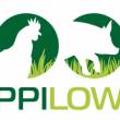 ppilow-logo-medium.jpg