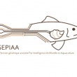 bandeau-sepiaa.png