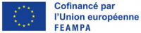 feampa-UE.PNG