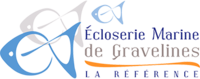 EMG LOGO.png